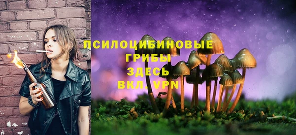 ПСИЛОЦИБИНОВЫЕ ГРИБЫ Алзамай