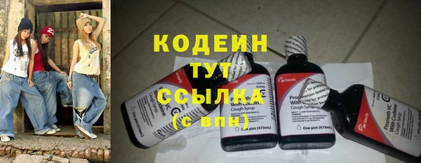 ПСИЛОЦИБИНОВЫЕ ГРИБЫ Алзамай